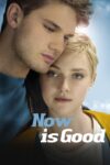 دانلود فیلم Now Is Good 2012 الان خوبه